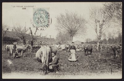 Postkarte, die die Melkzeit im Velay, um 1900 darstellt von French Photographer